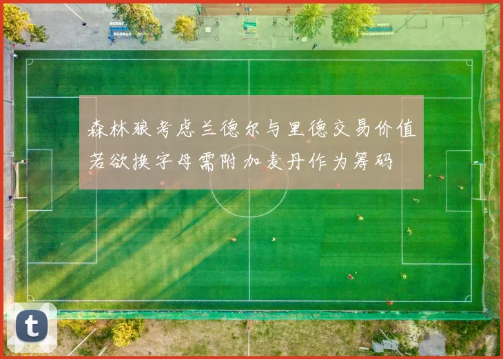 森林狼考虑兰德尔与里德交易价值若欲换字母需附加麦丹作为筹码