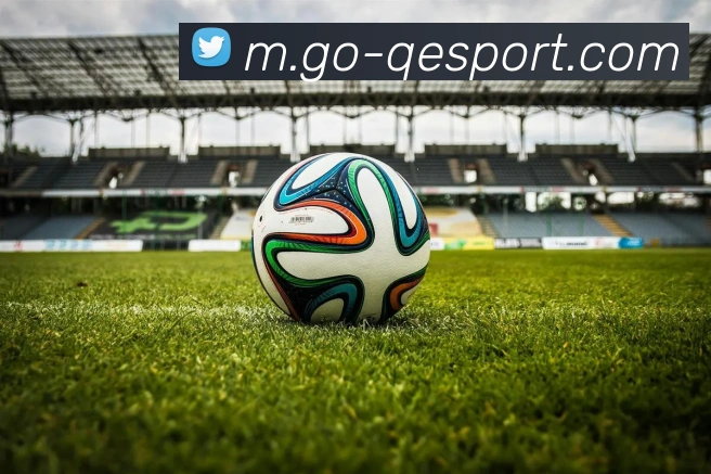 企鹅体育品牌故事