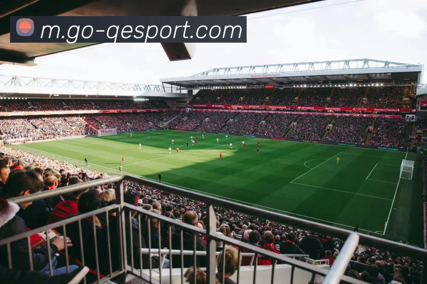 企鹅体育服务体系